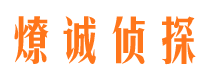 武江市侦探调查公司